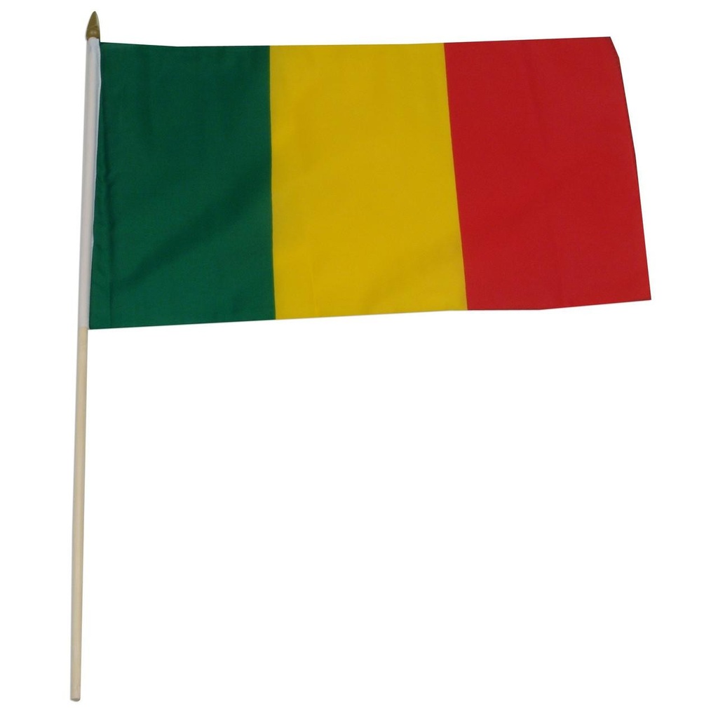 Mali 12" x 18" Mounted Flag