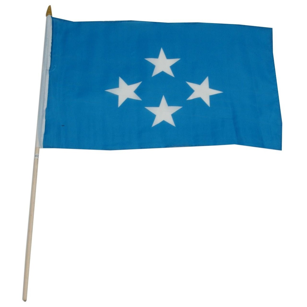 Micronesia 12" x 18" Mounted Flag