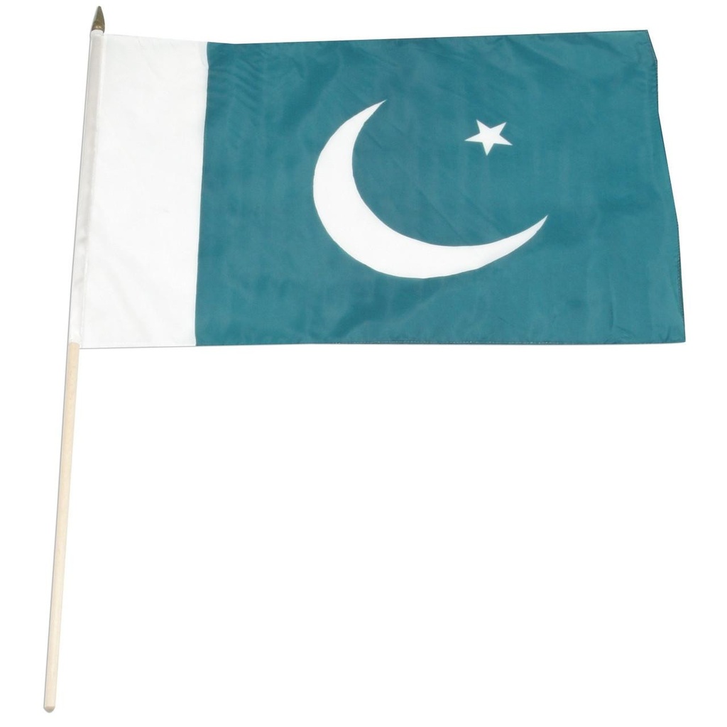Pakistan 12" x 18" Mounted Flag