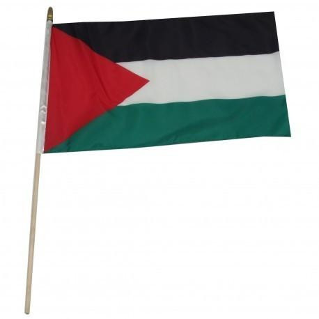 Palestinians 12" x 18" Mounted Flag