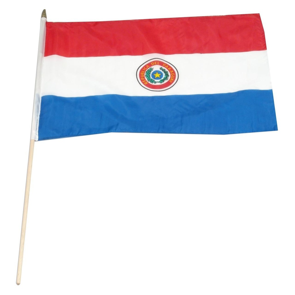 [STI-Paraguay] Paraguay 12" x 18" Mounted Flag