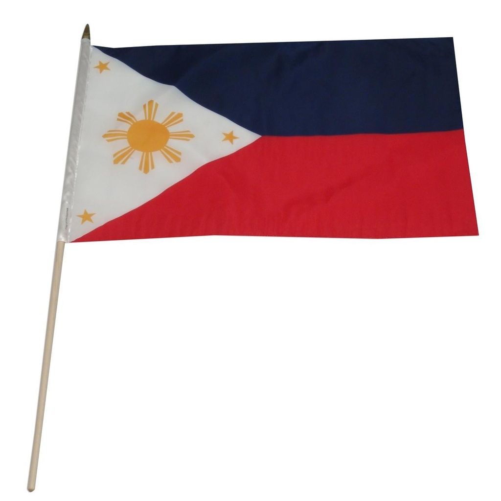 Philippines 12" x 18" Mounted Flag