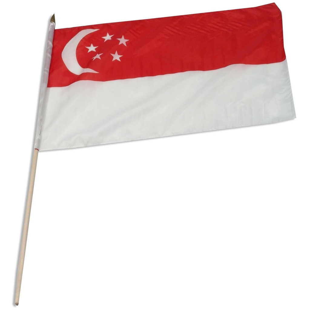 Singapore 12" x 18" Mounted Flag
