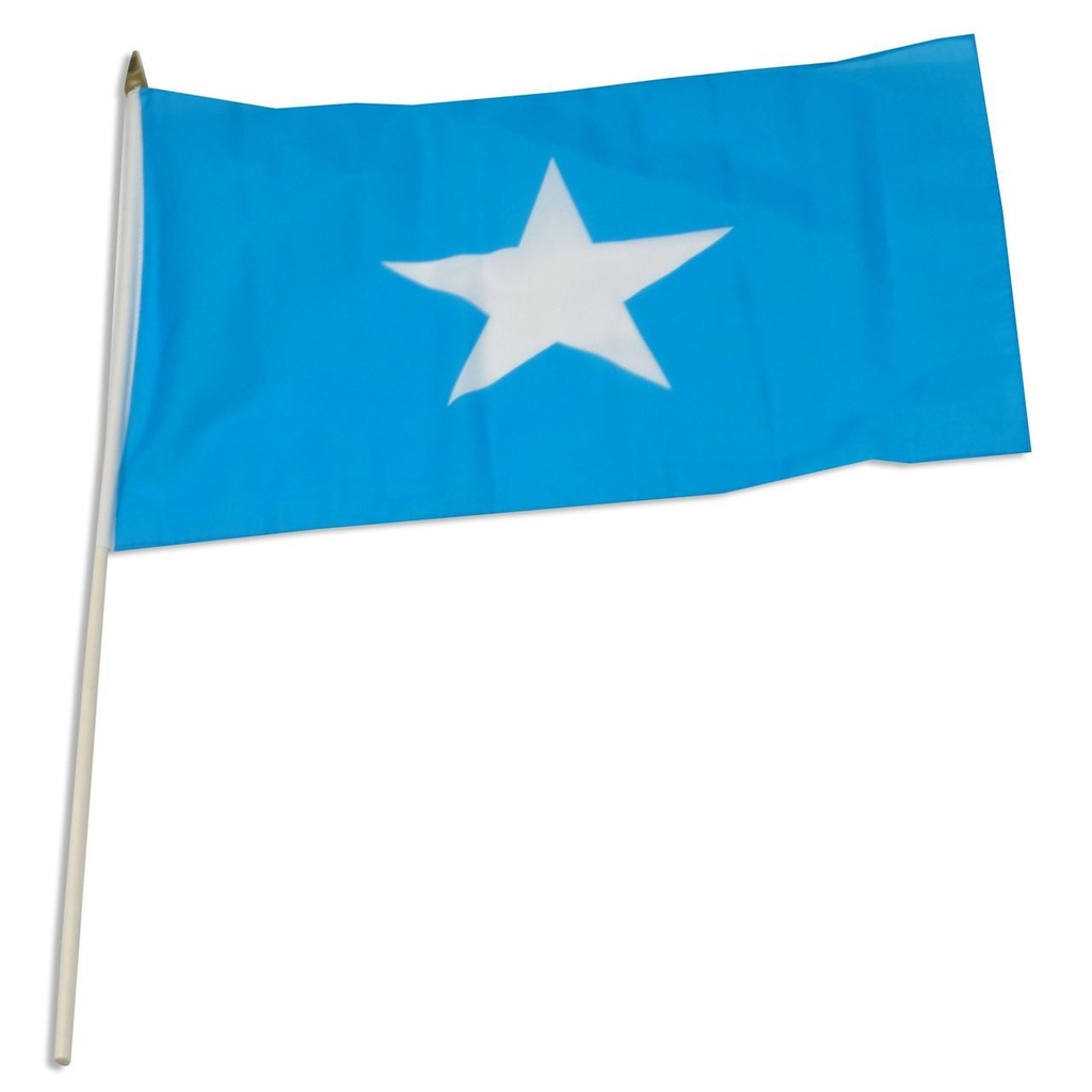[STI-Somalia] Somalia 12" x 18" Mounted Flag