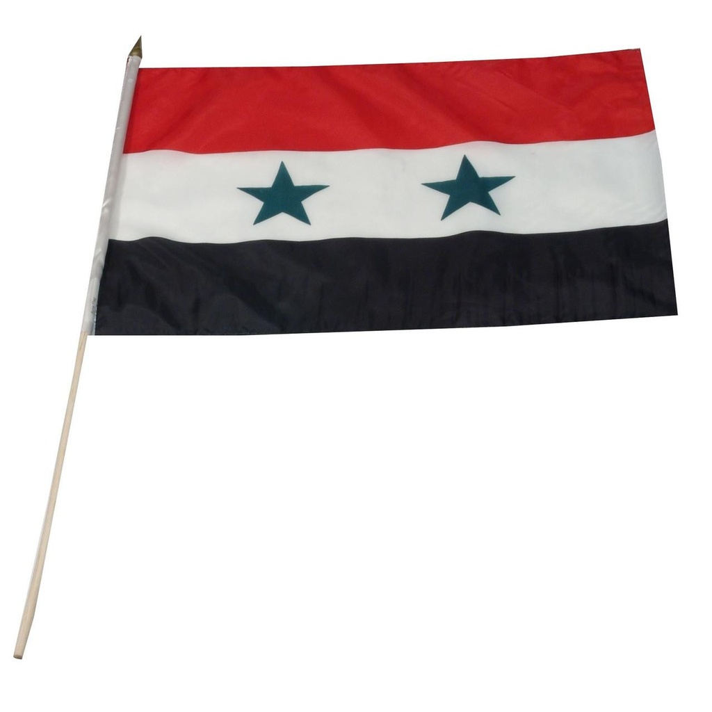 [STI-Syria] Syria 12" x 18" Mounted Flag