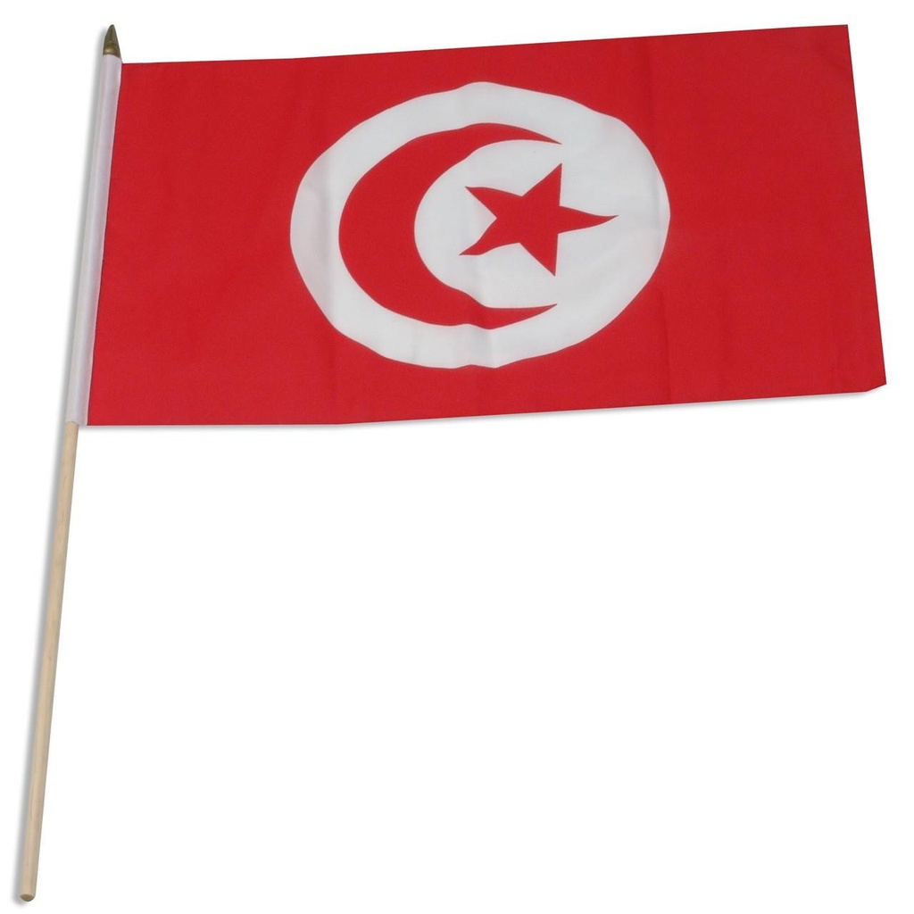 Tunisia 12" x 18" Mounted Flag