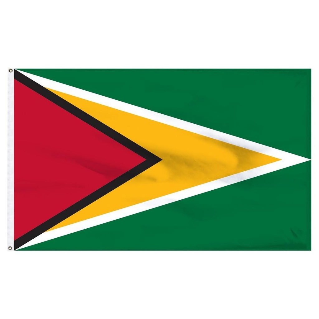 Guyana 2' x 3' Light Weight Polyester