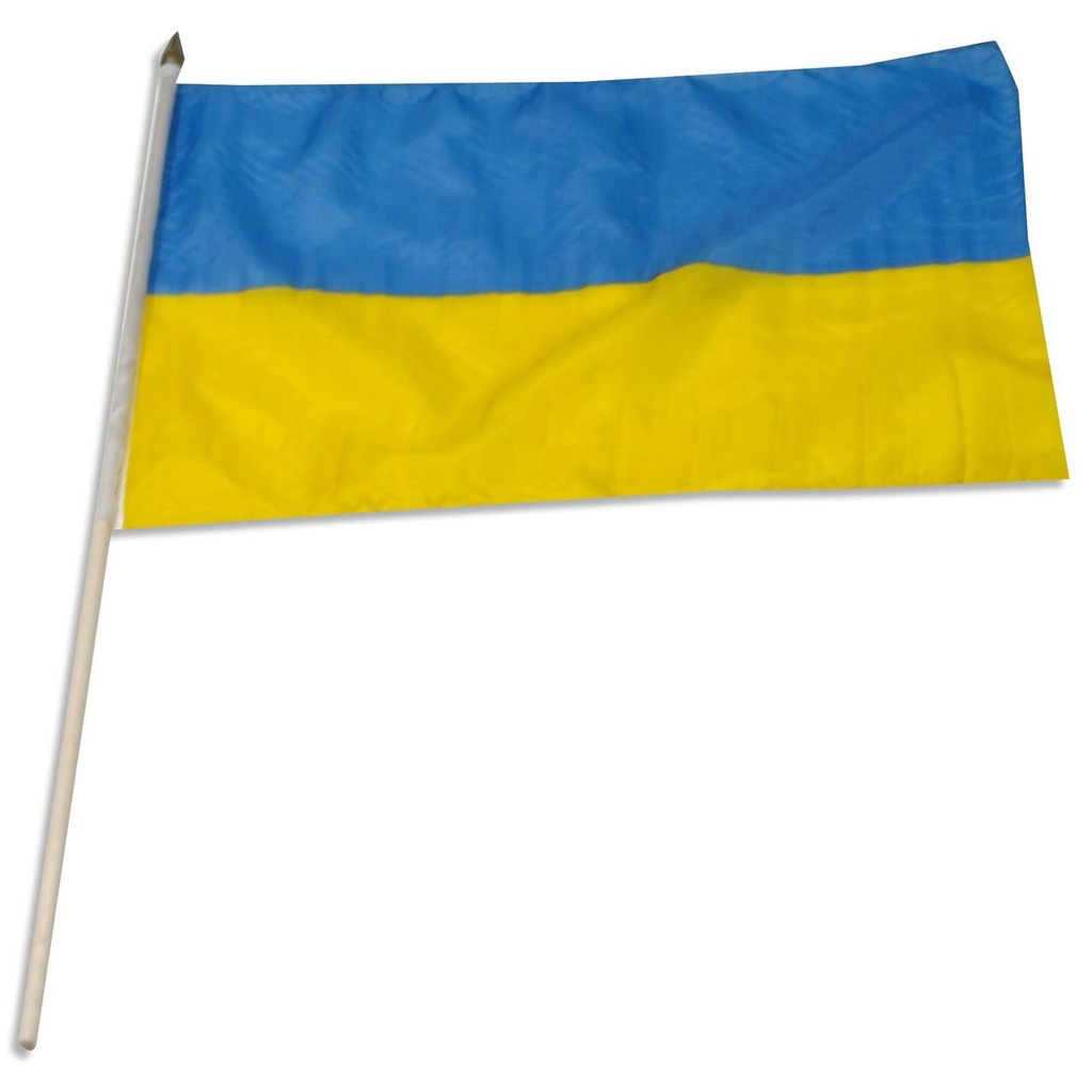 Ukraine 12" x 18" Mounted Flag