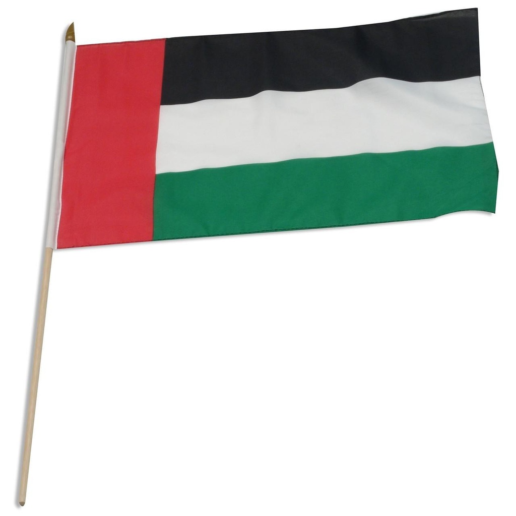 [STI-uae] United Arab Emirates 12" x 18" Mounted Flag