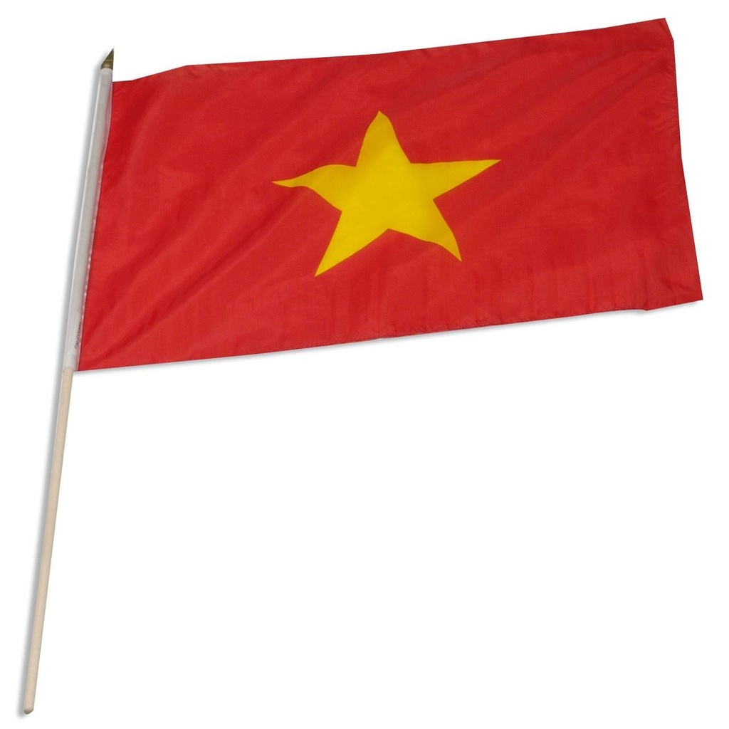 [STI-Vietnam] Vietnam 12" x 18" Mounted Flag