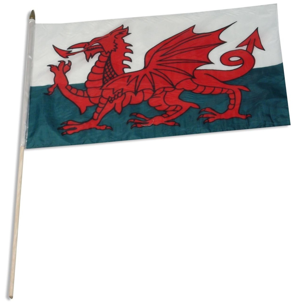 [STI-Wales] Wales 12" x 18" Mounted Flag
